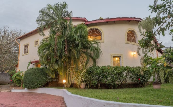 Sleeping Baobab Malindi