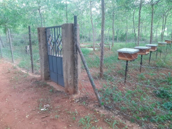 51 Acre ranch for sale in Kibwezi