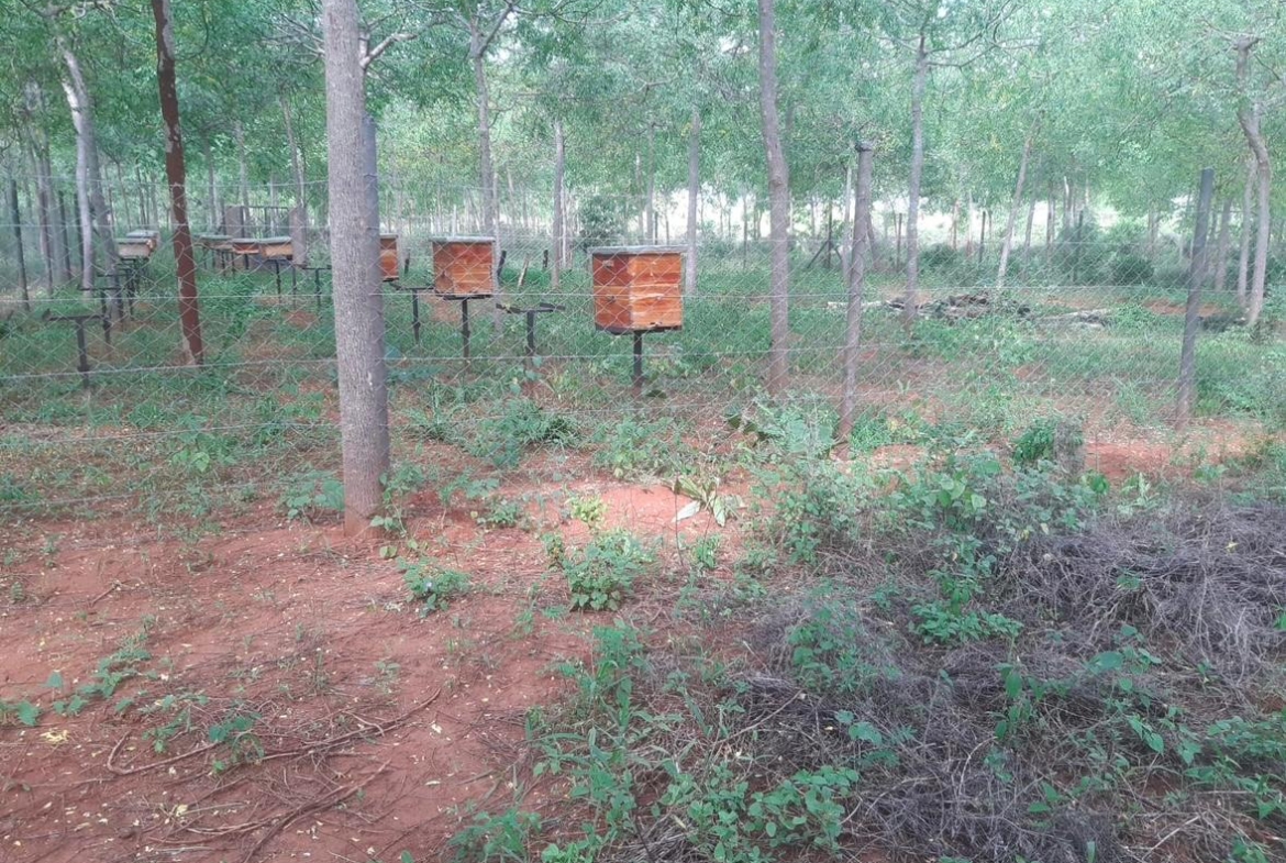 51 Acre ranch for sale in Kibwezi