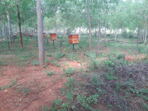 51 Acre ranch for sale in Kibwezi