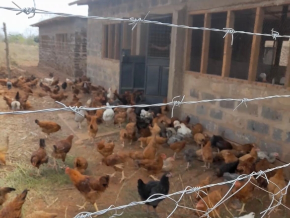 51 Acre ranch for sale in Kibwezi