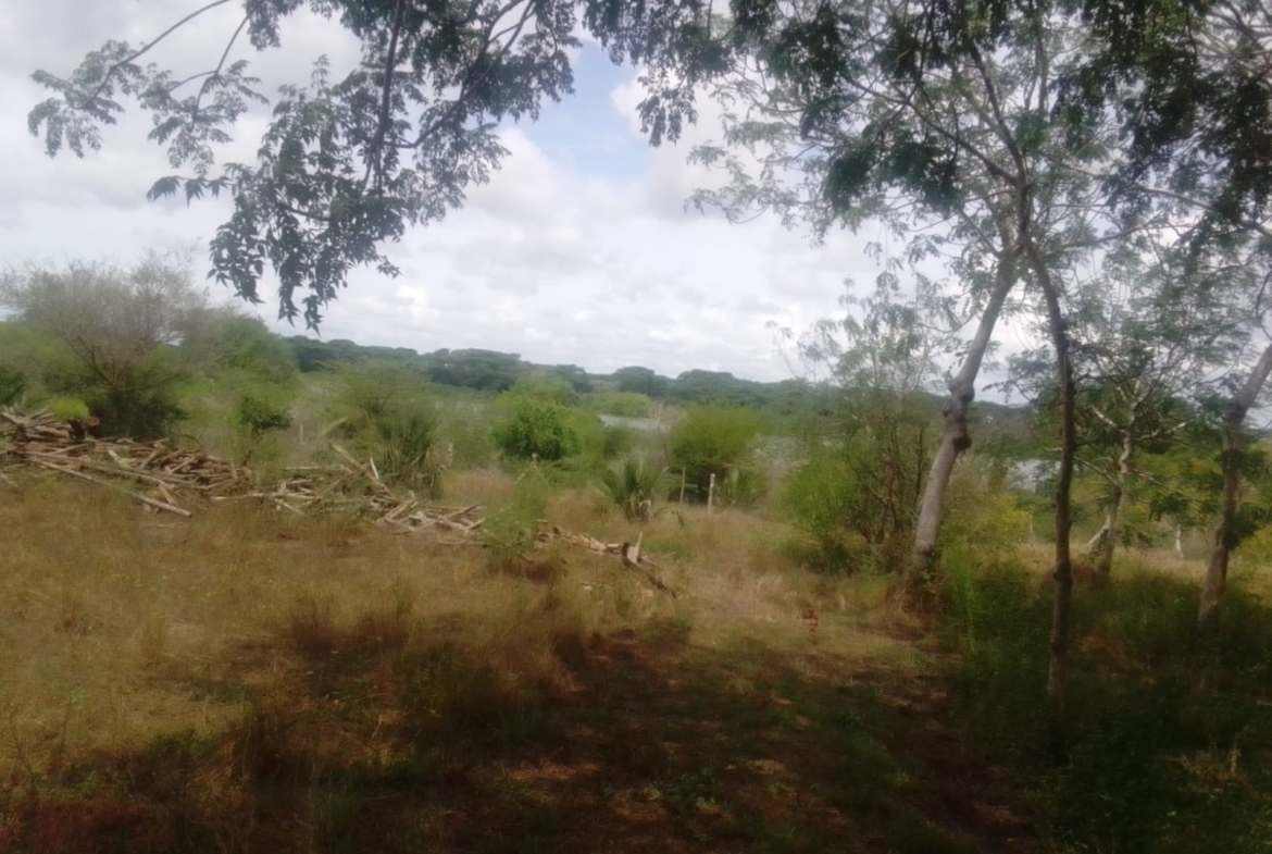 12 000 Acre ranch for sale in Tana River
