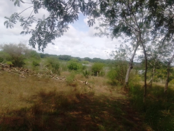 12 000 Acre ranch for sale in Tana River