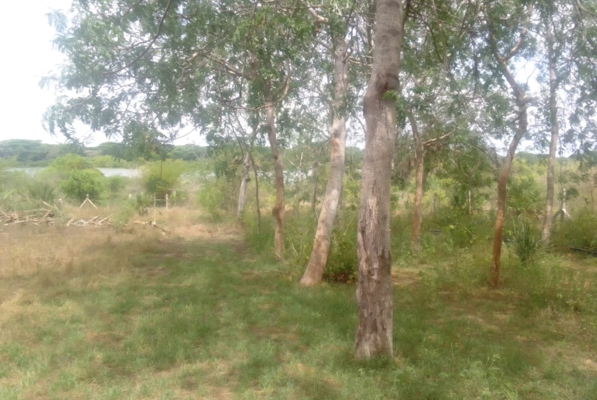 12 000 Acre ranch for sale in Tana River