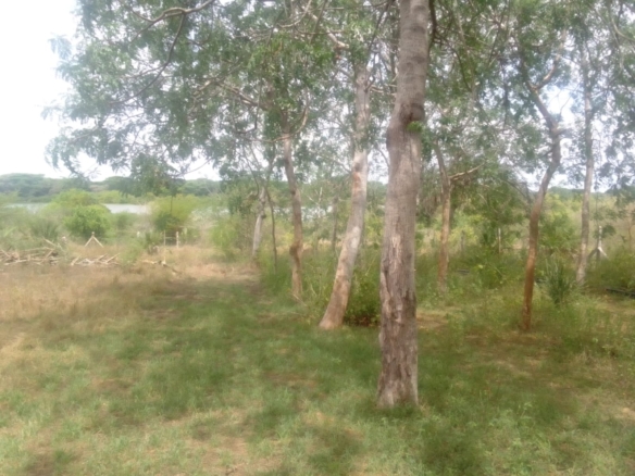 12 000 Acre ranch for sale in Tana River