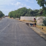 Kirubuni Villas Quarter Acres for sale