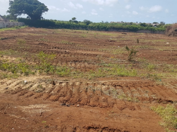 Kirubuni Villas Quarter Acres for sale