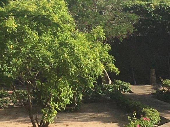 4br for sale in mayungu