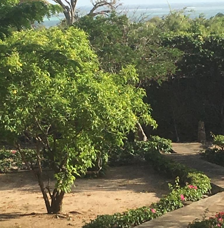 4br for sale in mayungu