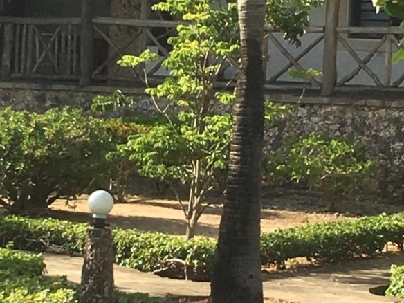 4br for sale in mayungu