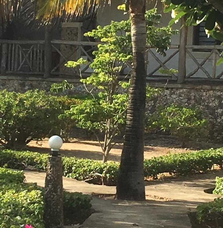 4br for sale in mayungu