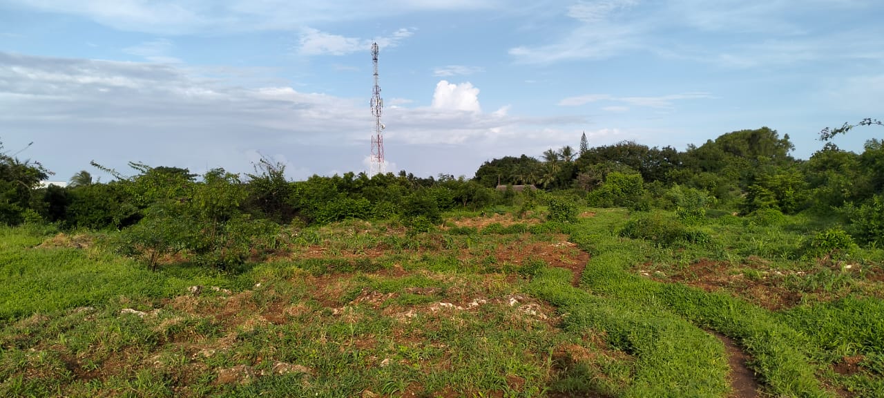 2acres Neem Road - Casuasrina