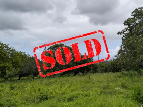 Prime 9.4 Acres of Fertile Land For Sale in Kakuyuni, Malindi