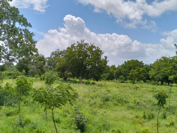 9.4 Acres for sale in Kakuyuni