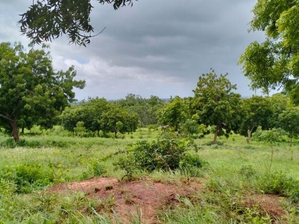 9.4 Acres for sale in Kakuyuni