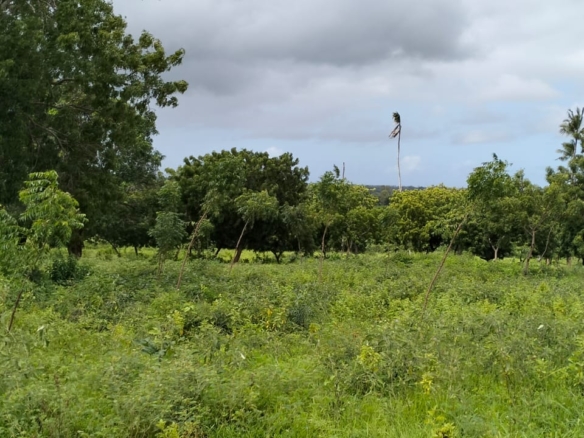9.4 Acres for sale in Kakuyuni