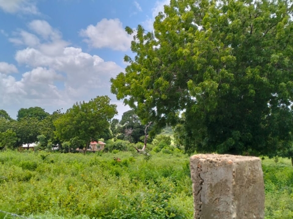 9.4 Acres for sale in Kakuyuni