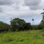 9.4 Acres for sale in Kakuyuni