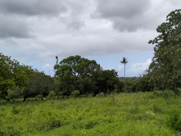 9.4 Acres for sale in Kakuyuni