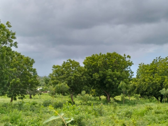 9.4 Acres for sale in Kakuyuni