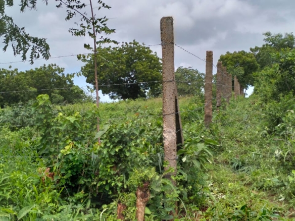 9.4 Acres for sale in Kakuyuni