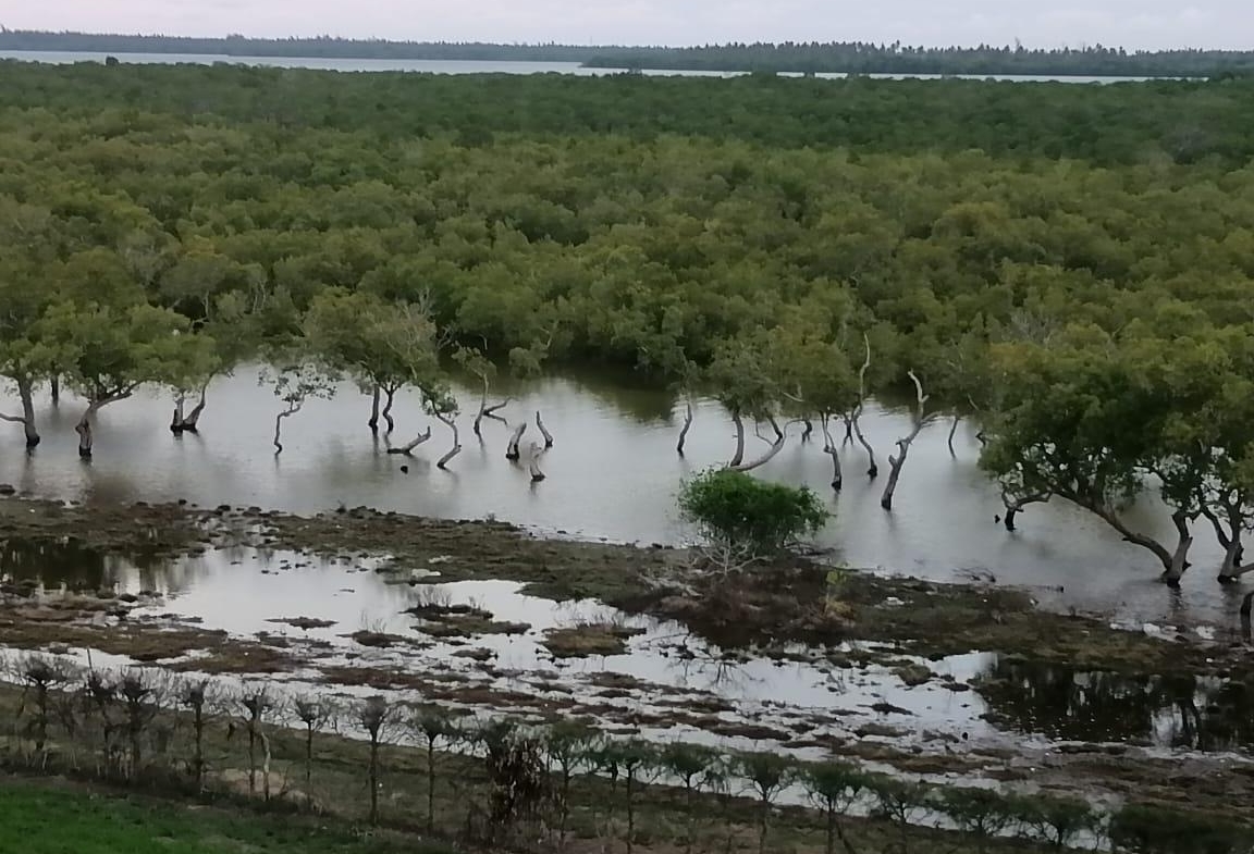Eagles Camp Watamu