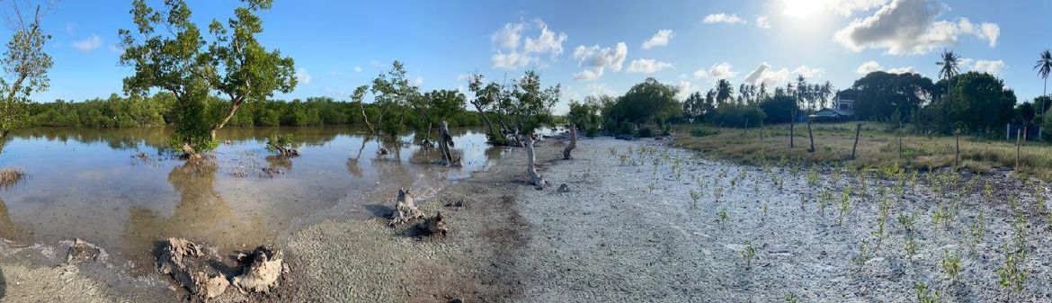 Eagles Camp Watamu