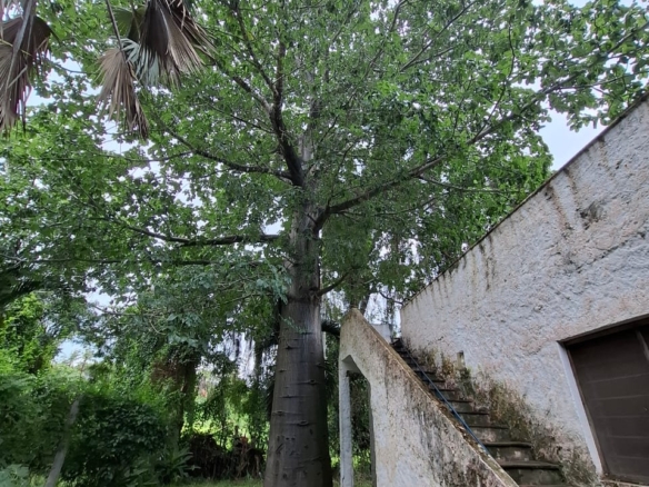 2br villa for sale in Iguana Beach