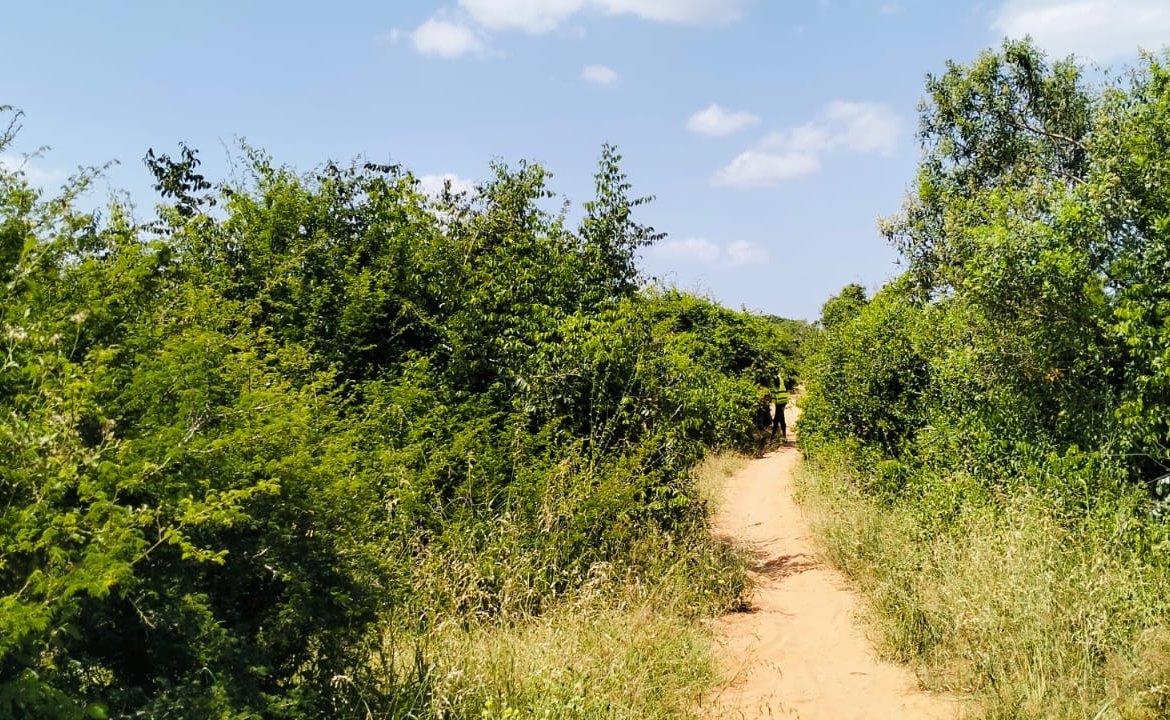 Koromi Farm 201 Acres For Sale