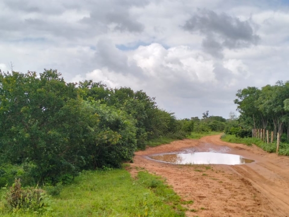 Bore Singwaya 19 Acres Forsale