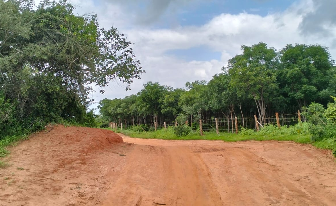 Bore Singwaya 19 Acres Forsale