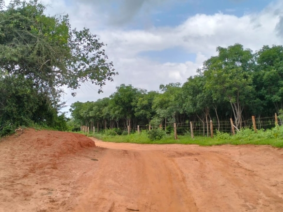 Bore Singwaya 19 Acres Forsale