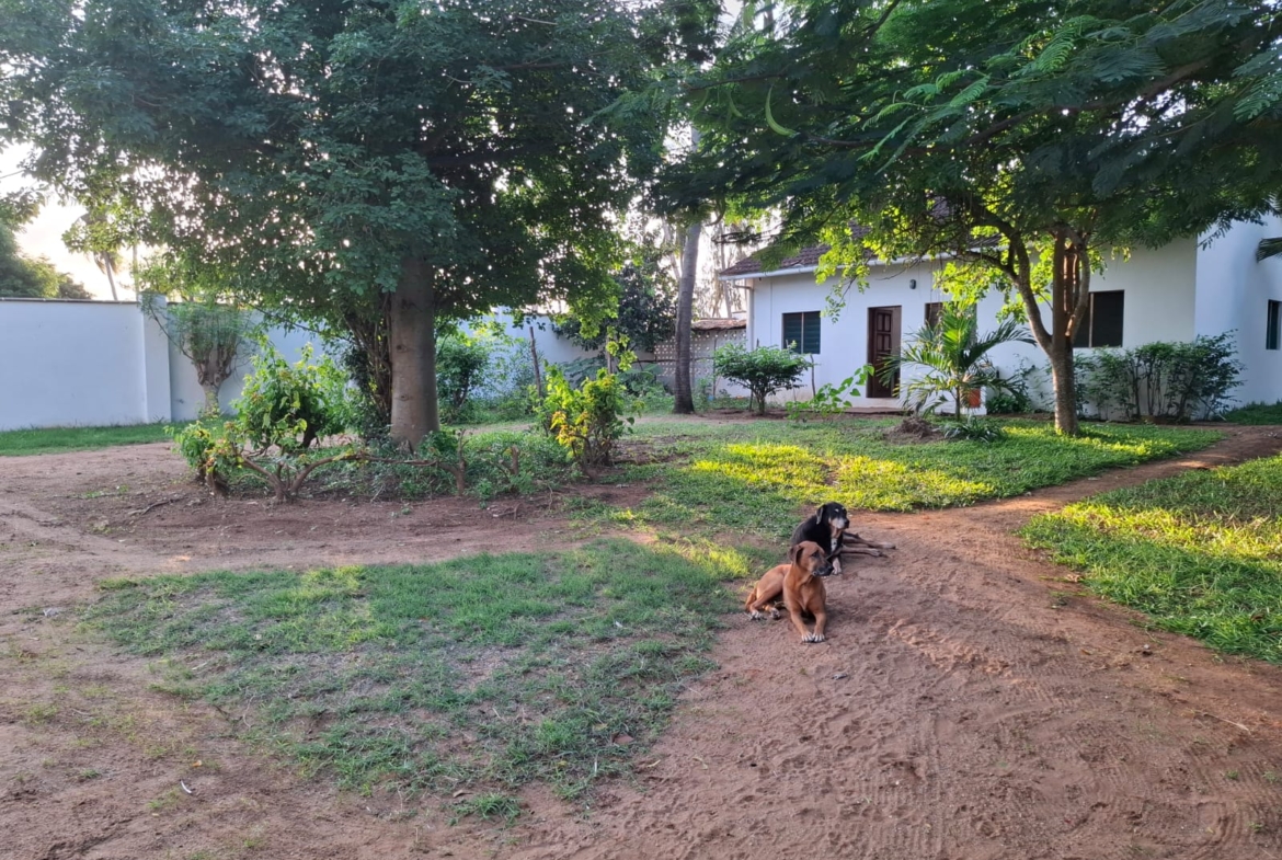 Luxurious 4br Vila For Sale inWatamu