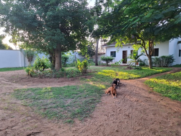 Luxurious 4br Vila For Sale inWatamu