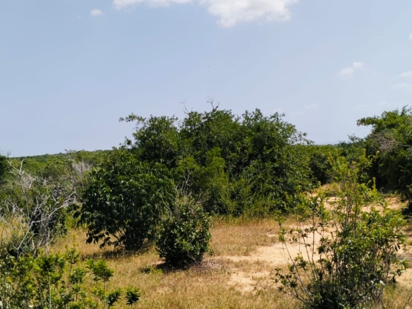847 Acres for sale in Mulunguni