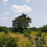 847 Acres for sale in Mulunguni