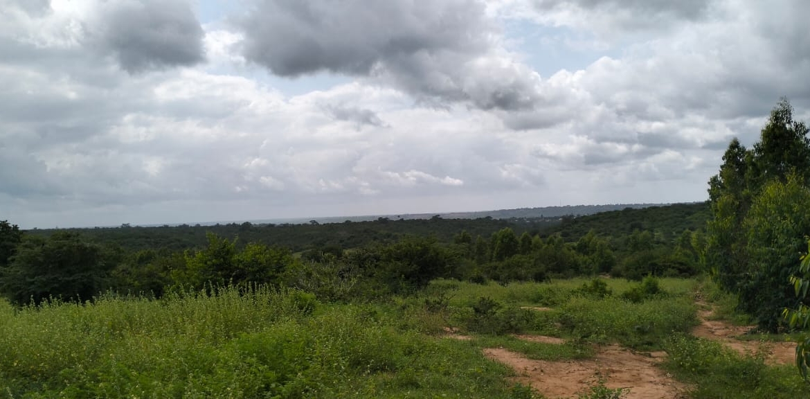20 Acres For Sale in Bore, Malindi