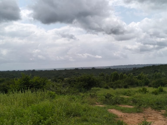 20 Acres For Sale in Bore, Malindi