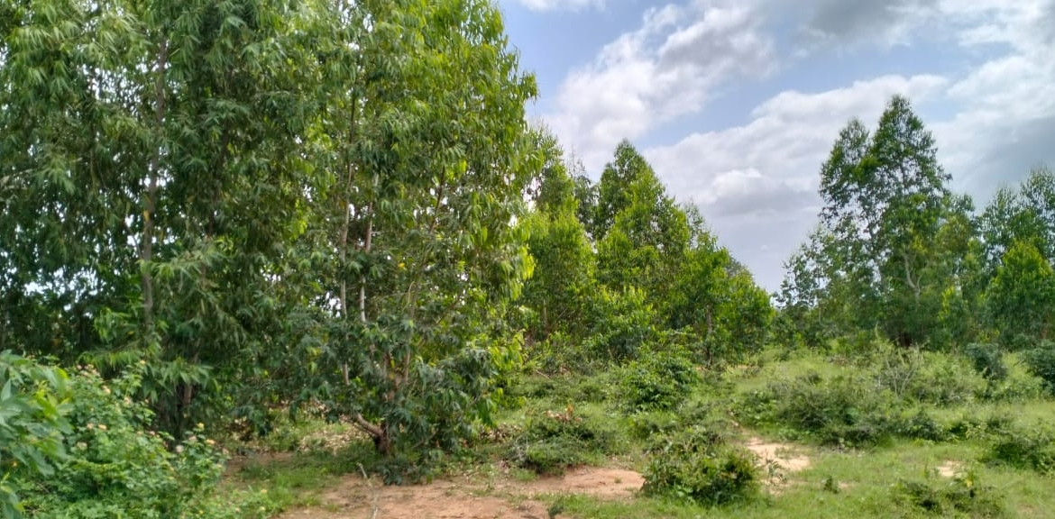 20 Acres For Sale in Bore, Malindi