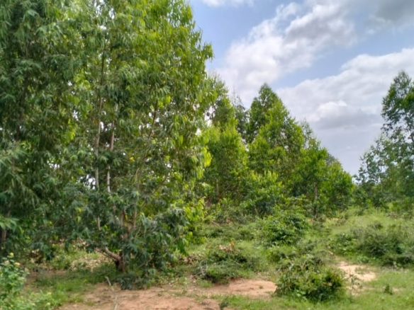 20 Acres For Sale in Bore, Malindi