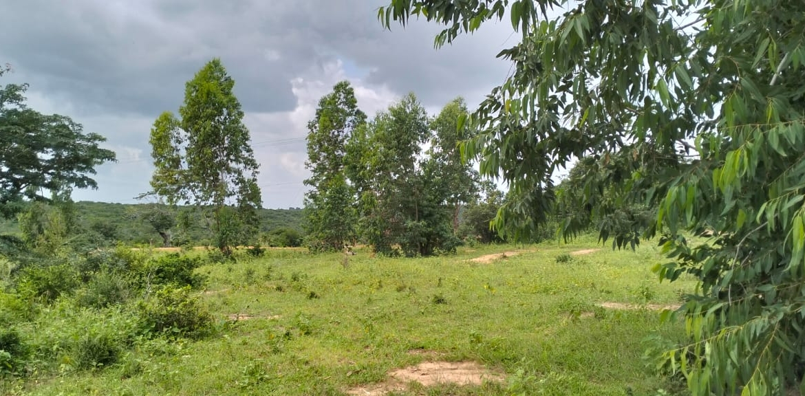 20 Acres For Sale in Bore, Malindi