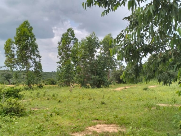 20 Acres For Sale in Bore, Malindi
