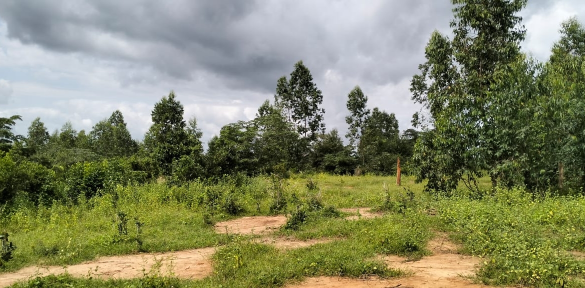 20 Acres For Sale in Bore, Malindi