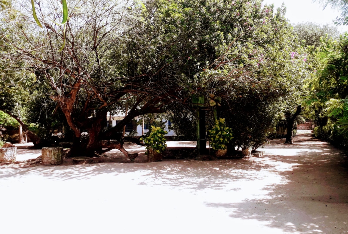 Osteria Beach Malindi