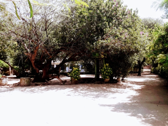 Osteria Beach Malindi