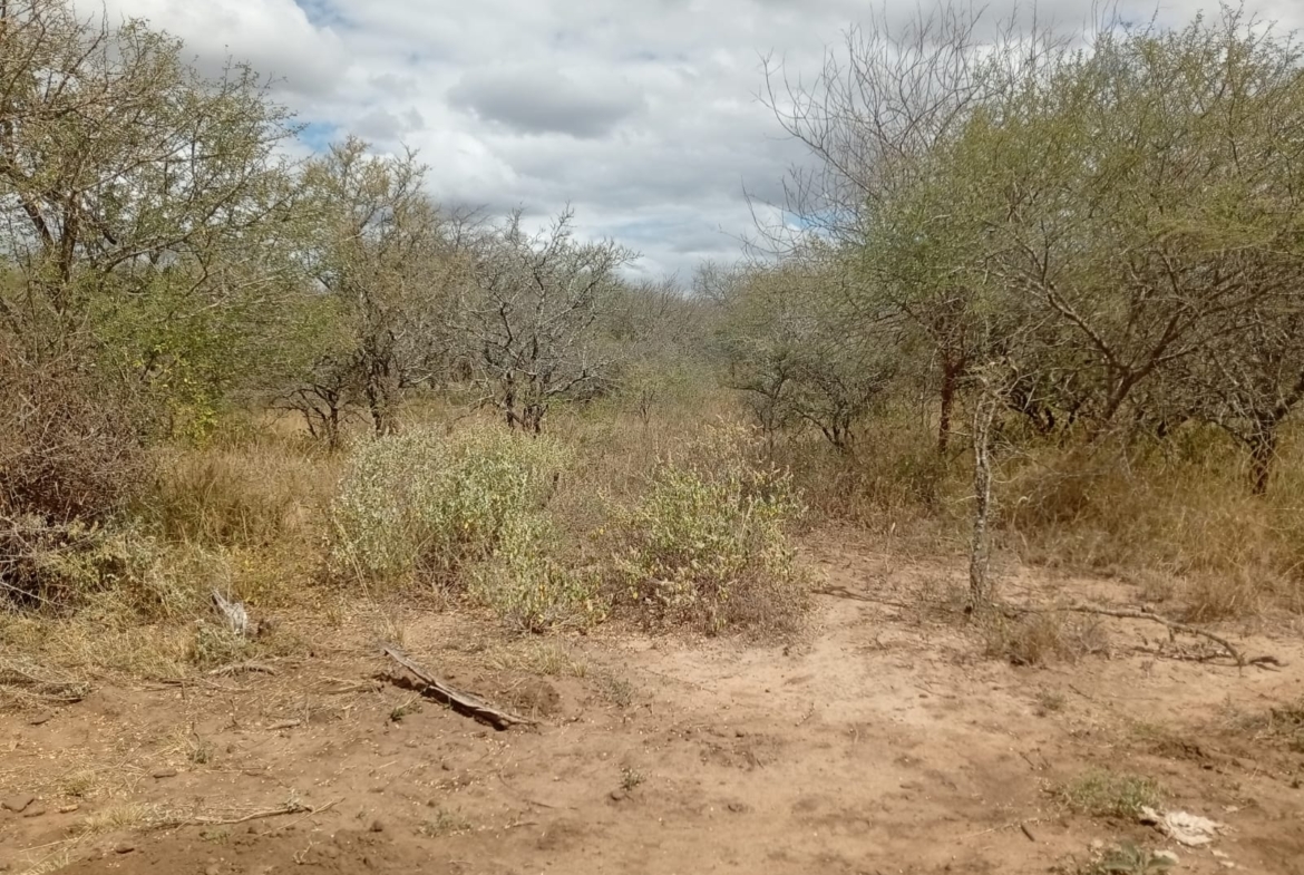 Eselenkei 189.8 Acres for sale