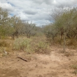 Eselenkei 189.8 Acres for sale