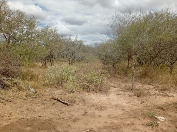 Eselenkei 189.8 Acres for sale