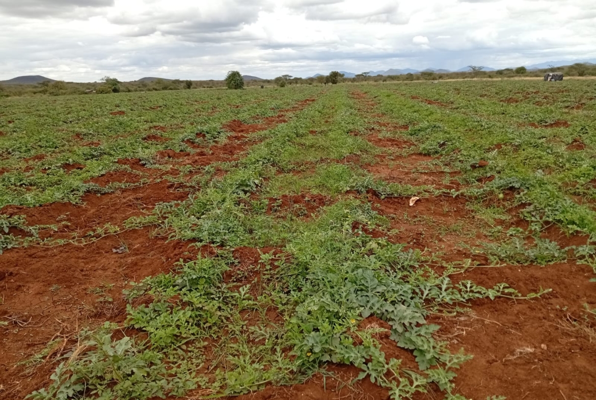 Eselenkei 189.8 Acres for sale
