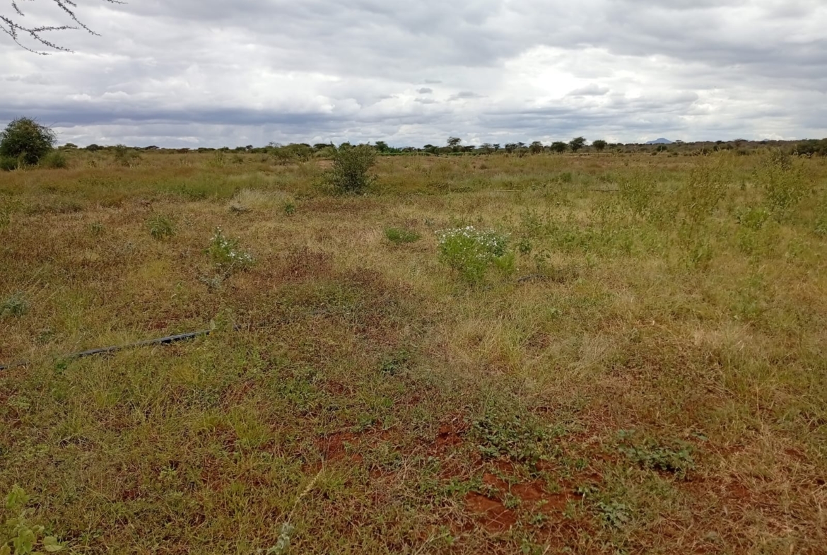 Eselenkei 189.8 Acres for sale